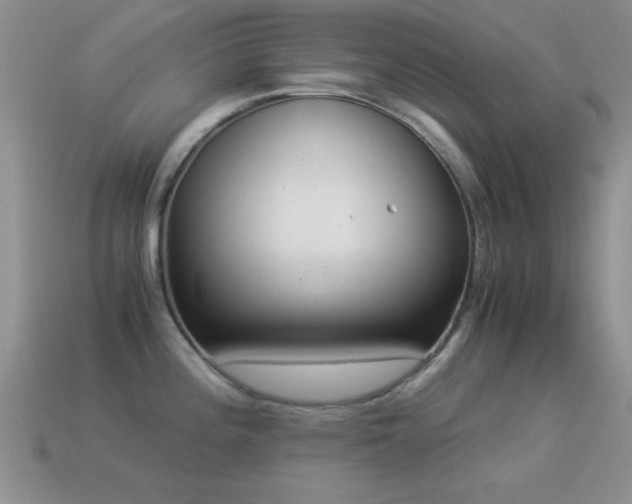 X0000114521196200910191148