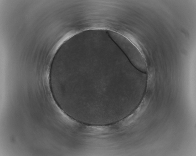 X0000114521197200910191148