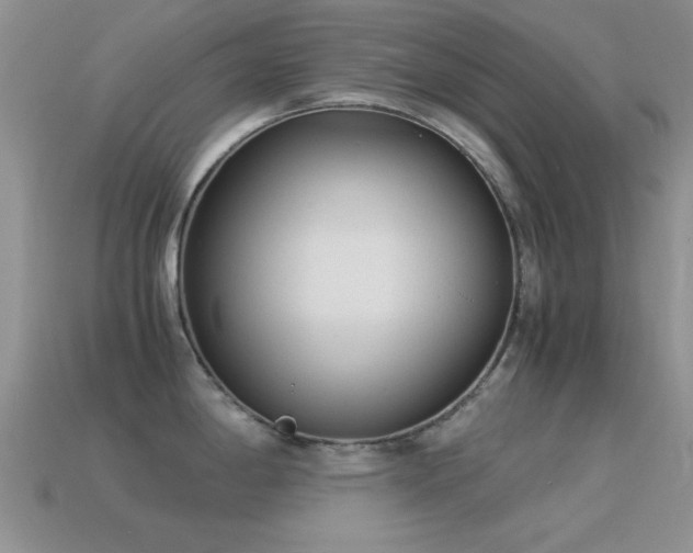 X0000114521198200910191148