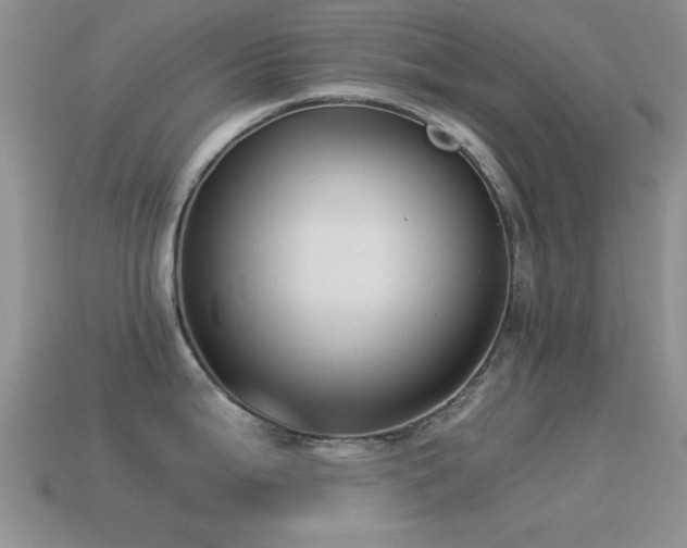 X0000114521199200910191148