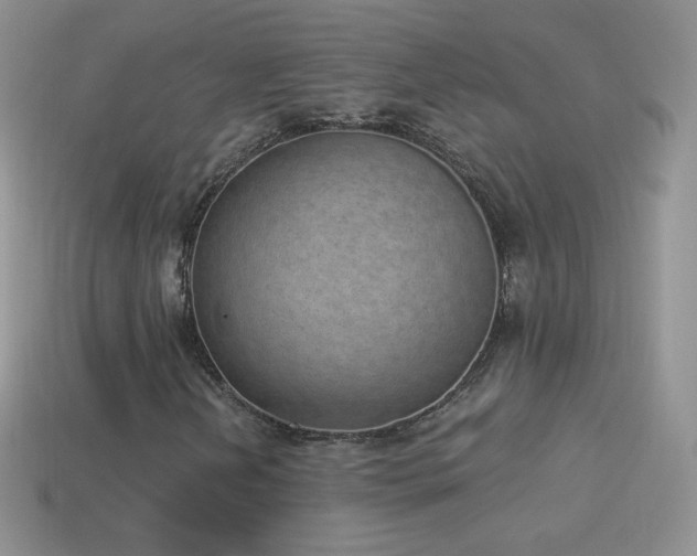 X0000114521202200910191147