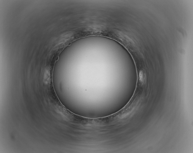 X0000114521203200910191147