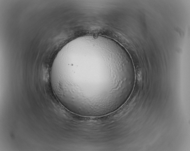 X0000114521204200910191147