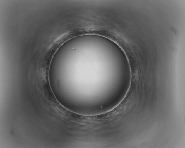 X0000114521205200910191147