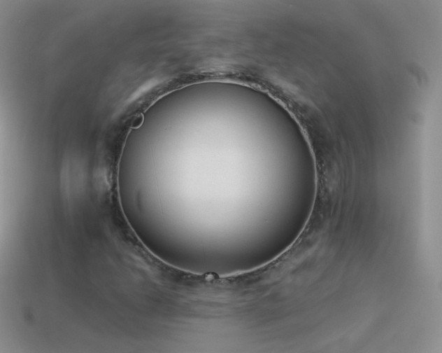 X0000114521206200910191147