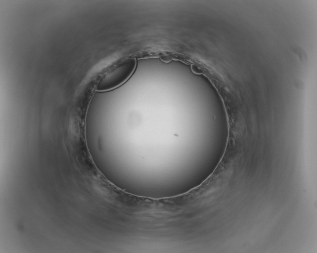 X0000114521207200910191147