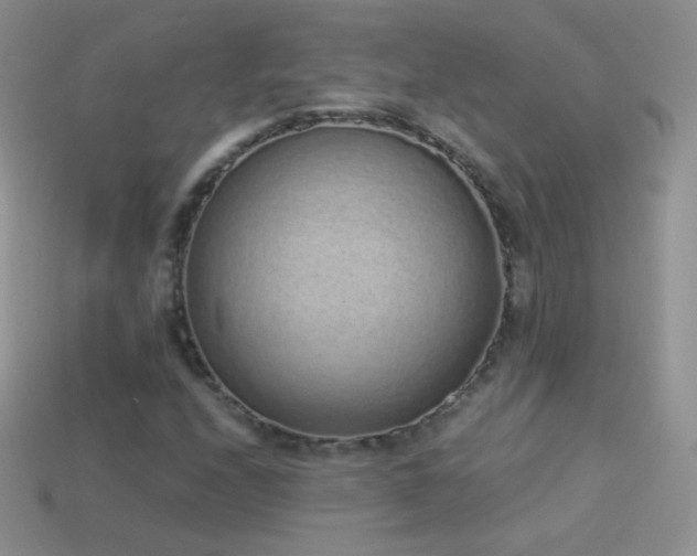 X0000114521208200910191147