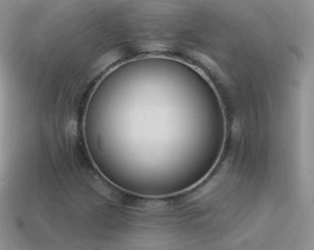 X0000114521209200910191147
