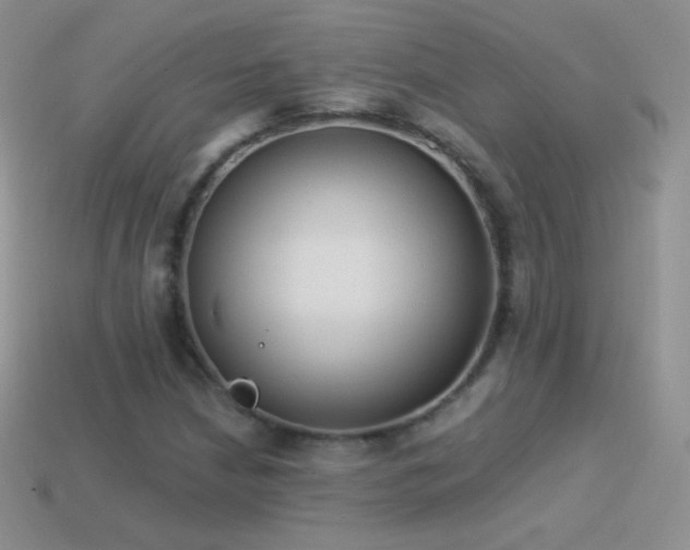 X0000114521210200910191147