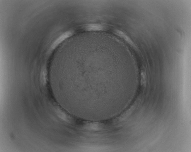 X0000114521213200910191147