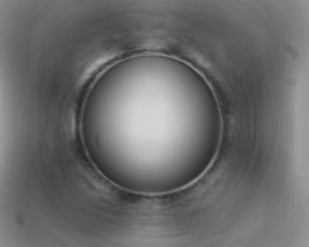 X0000114521214200910191147
