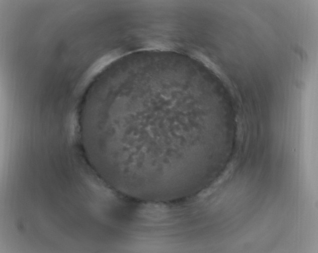 X0000114521215200910191147