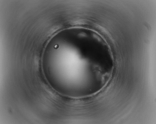 X0000114521217200910191147