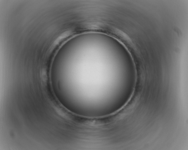 X0000114521218200910191147