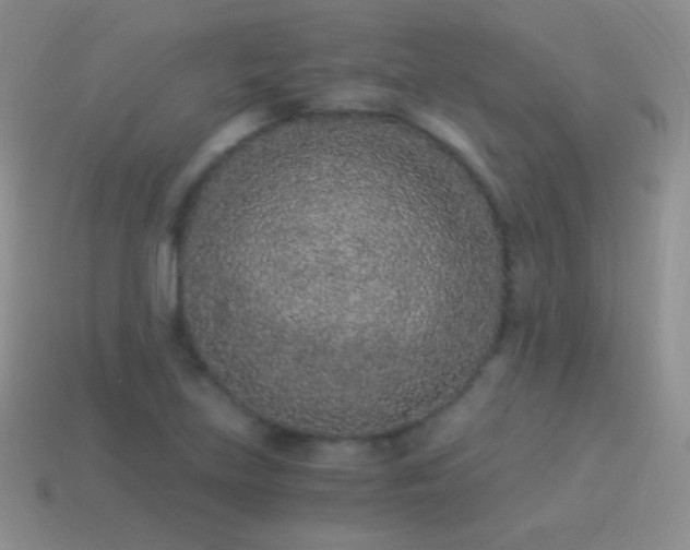 X0000114521219200910191147