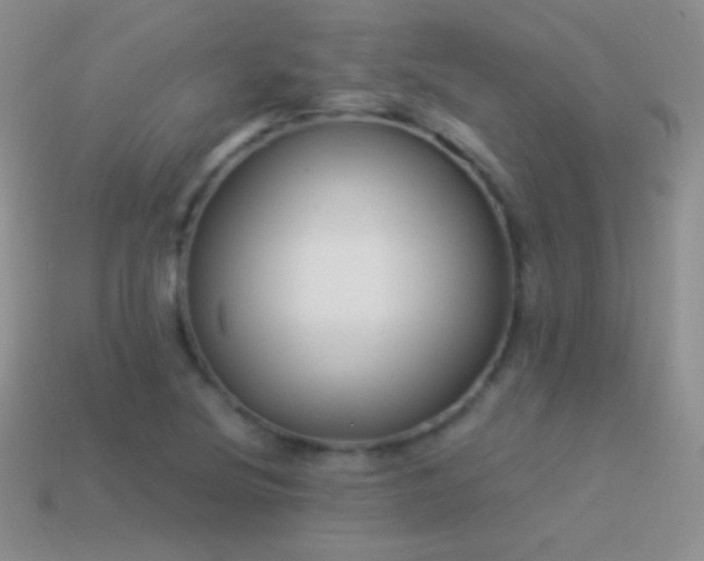 X0000114521220200910191147