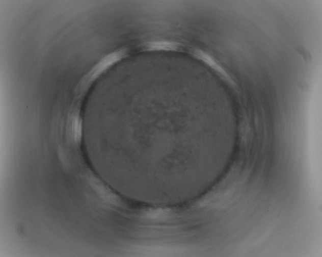 X0000114521221200910191147