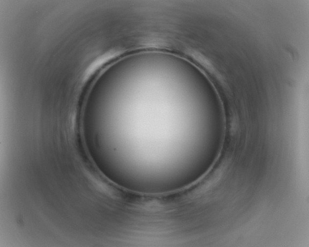 X0000114521222200910191147