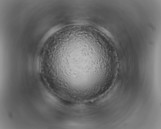 X0000114521223200910191147