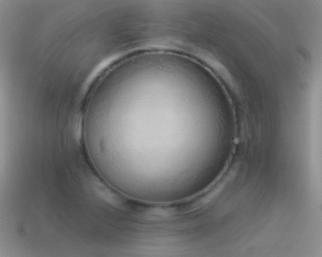 X0000114521224200910191147