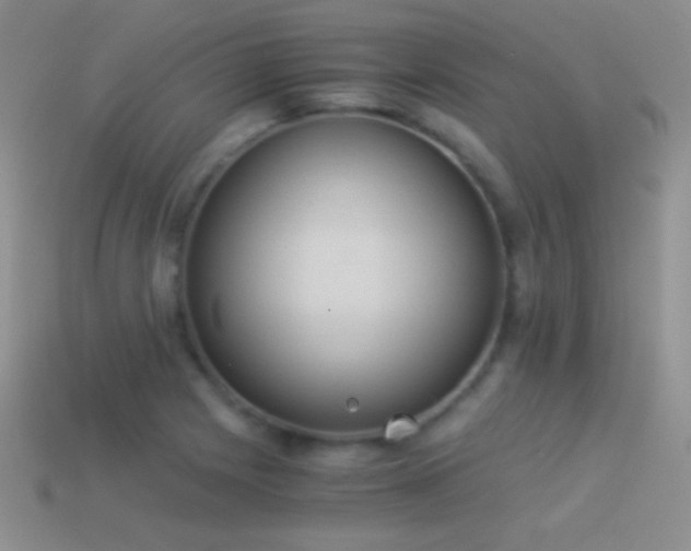 X0000114521225200910191147