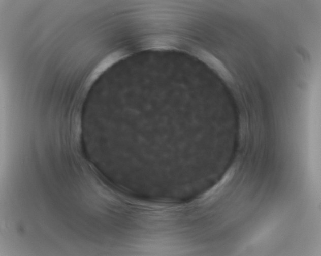 X0000114521226200910191147