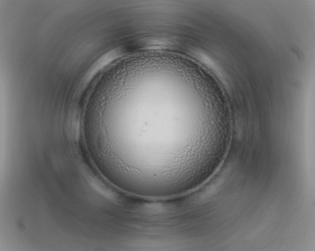 X0000114521227200910191147