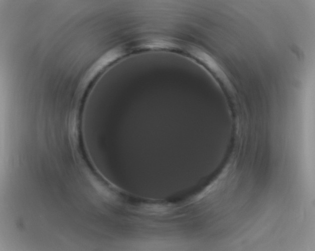 X0000114521229200910191147