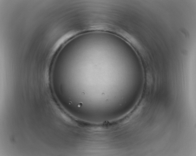 X0000114521230200910191147