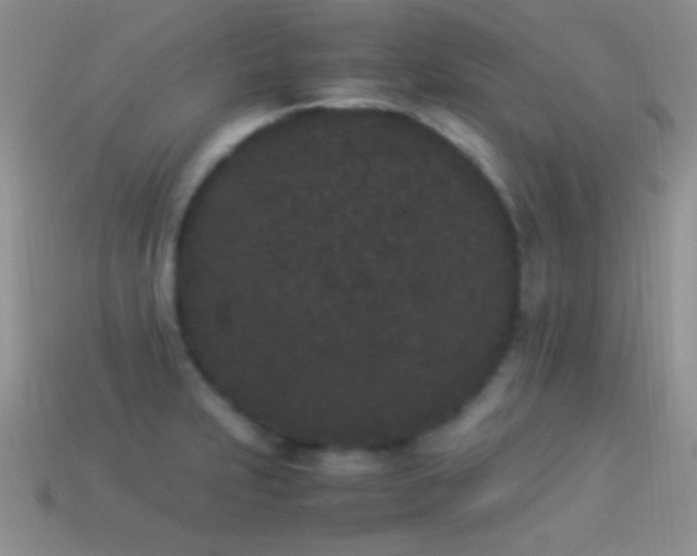 X0000114521231200910191147