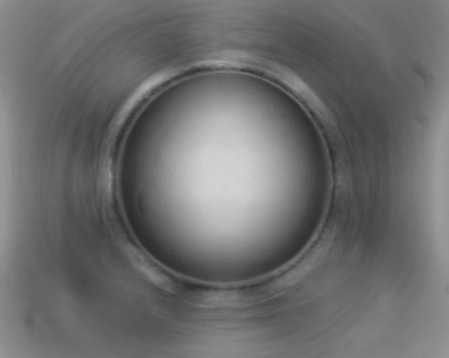 X0000114521232200910191147