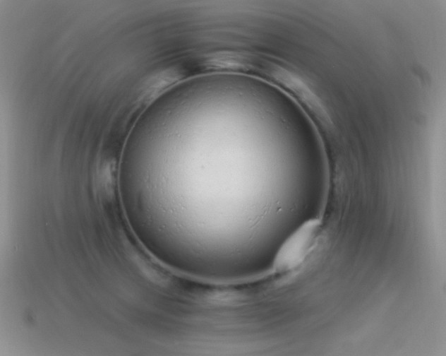 X0000114521233200910191148