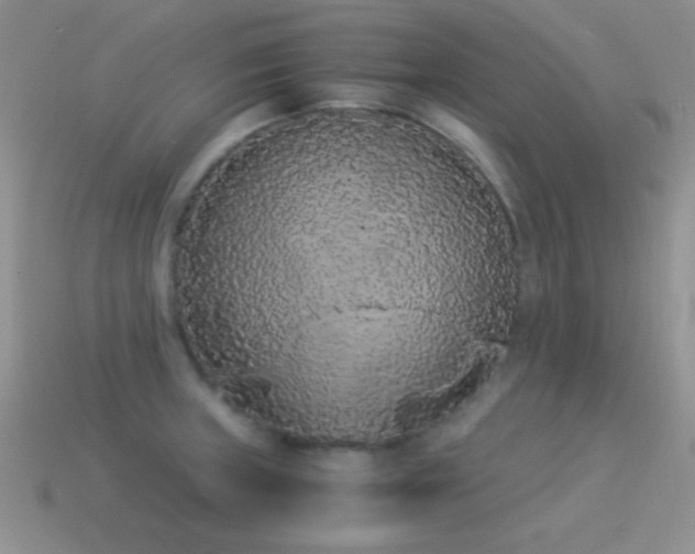 X0000114521235200910191148