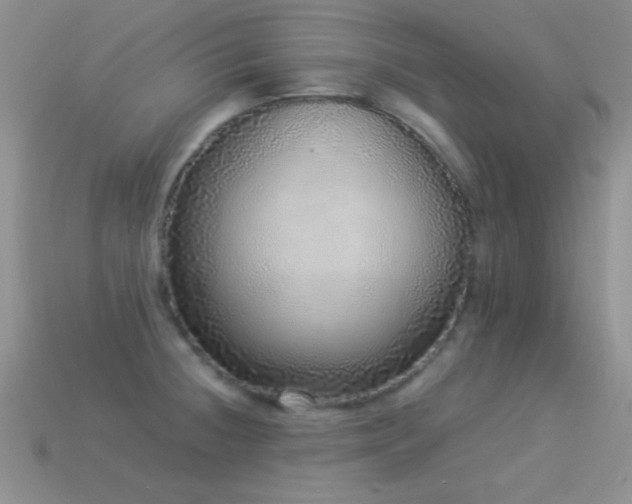 X0000114521236200910191148