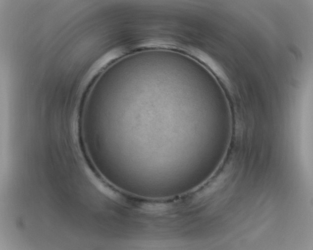 X0000114521237200910191148