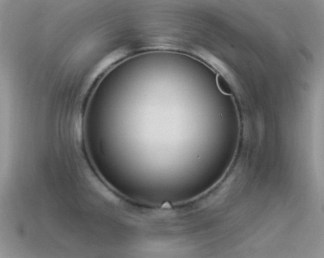 X0000114521238200910191148
