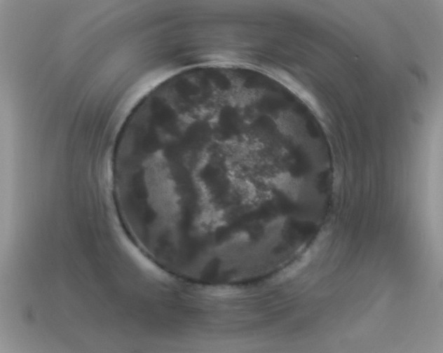 X0000114521239200910191148