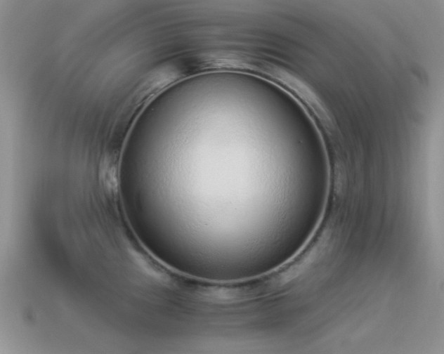 X0000114521241200910191148