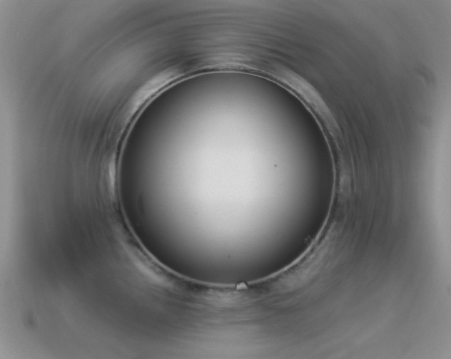 X0000114521242200910191148