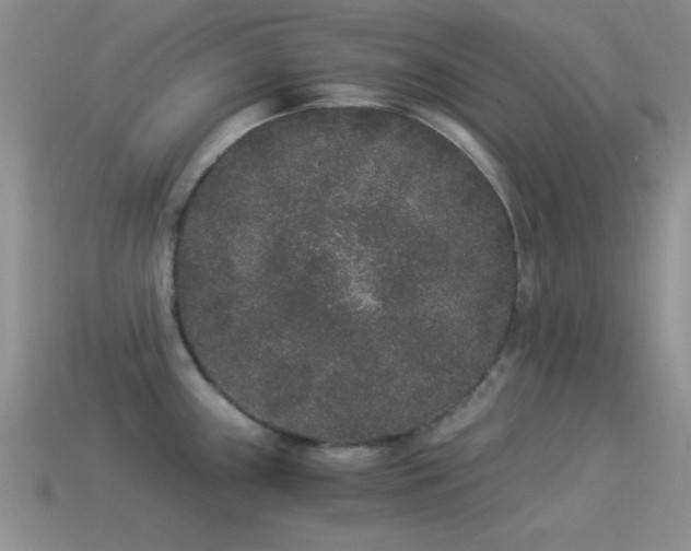 X0000114521243200910191148