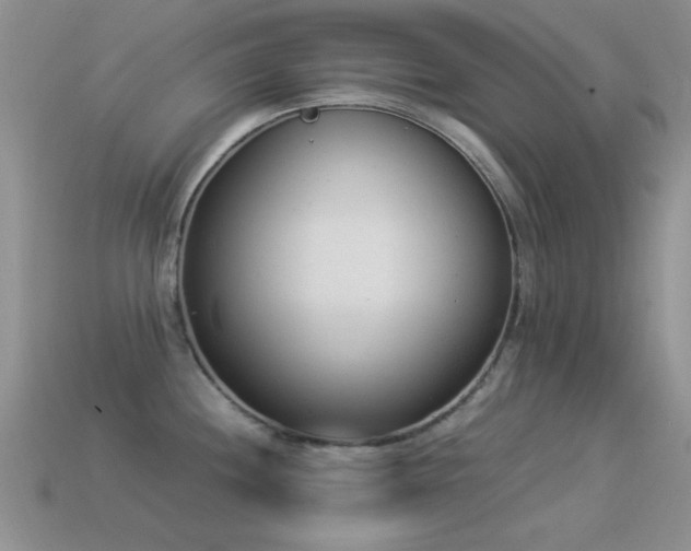 X0000114521244200910191148