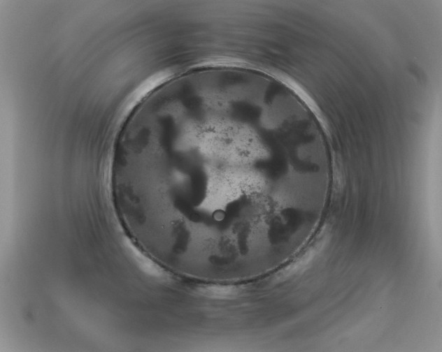 X0000114521245200910191148