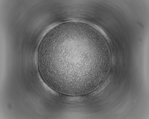 X0000114521247200910191148