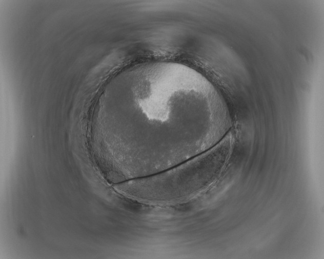 X0000114521249200910191147