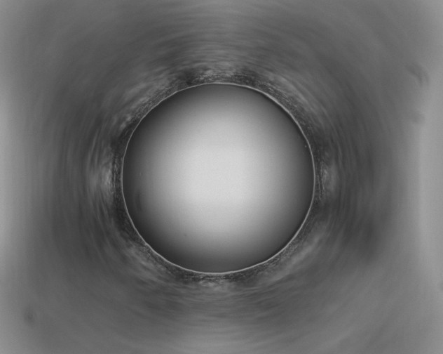 X0000114521250200910191147