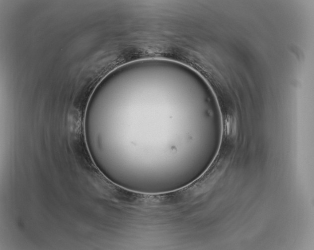 X0000114521251200910191147