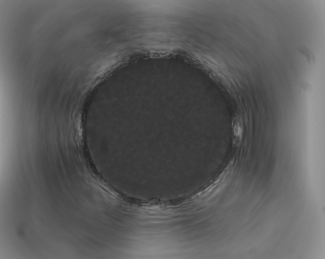 X0000114521252200910191147