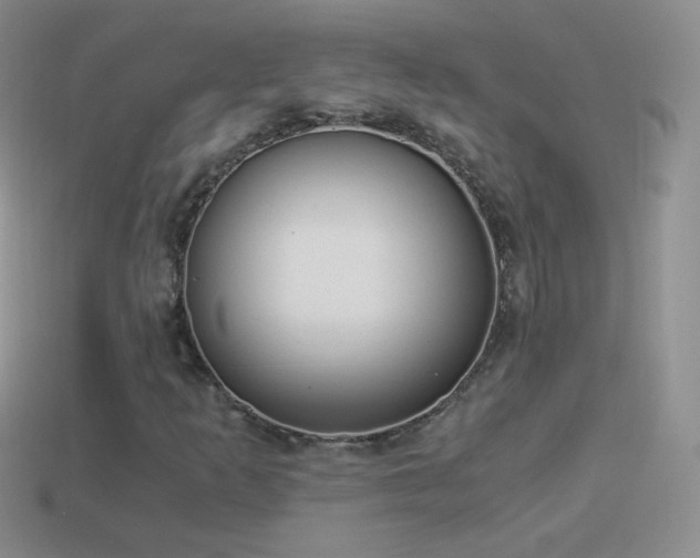 X0000114521253200910191147