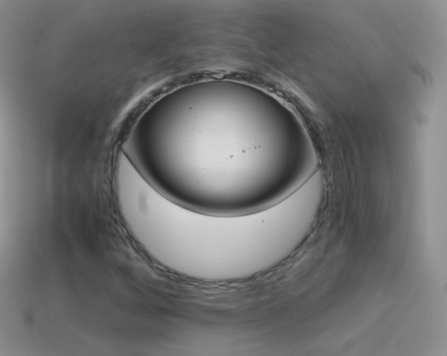 X0000114521256200910191147