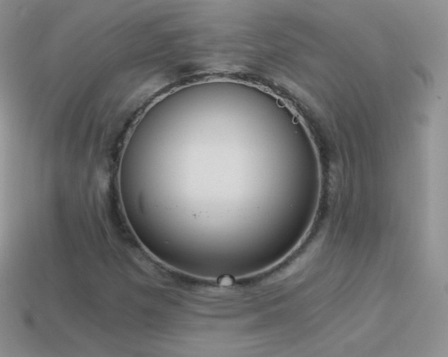 X0000114521257200910191147